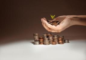 planta crescendo de moedas e uma mão segurando moedas com uma pilha de moedas foto