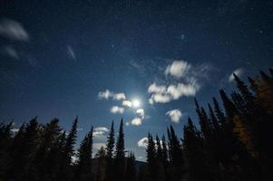a lua com estrelado no céu azul na floresta de pinheiros foto