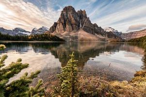 montanha rochosa com reflexo de pinheiro no lago cerúleo no parque provincial de assiniboine foto