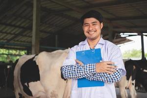 veterinário sorridente e feliz na fazenda de gado leiteiro. indústria agrícola, agricultura e conceito de pecuária, vaca na fazenda de gado leiteiro comendo feno. foto
