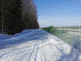 primavera no parque pavlovsky neve branca e árvores frias foto