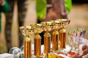 troféus de ouro campeão, muitos copos de troféus dourados brilhantes alinhados em linha na mesa, prêmios de troféus foto