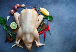 pato cru com especiarias prontas para cozinhar em fundo preto, carne de pato fresca no prato para comida, pato inteiro e alho alecrim limão - vista superior foto