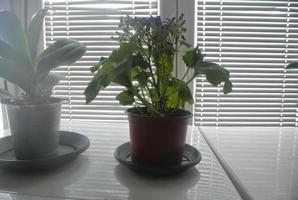 planta de casa em um quarto foto