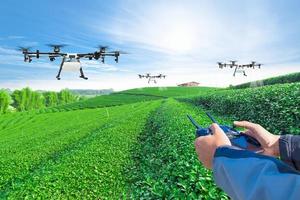 drone agrícola de controle manual voa para fertilizante pulverizado nos campos de chá verde, conceito de fazenda inteligente 4.0 foto