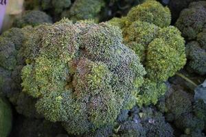 brócolis foto