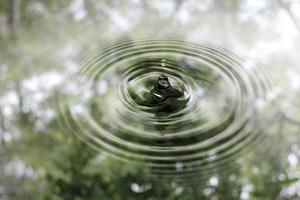 o movimento da superfície das gotas de água com a sombra da árvore, a superfície das gotas de água foto