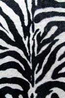 textura de tecido estampado listras zebra para plano de fundo foto