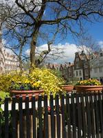 a cidade holandesa amsterdã foto