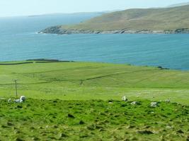 a cidade de lerwick e as ilhas shetland foto