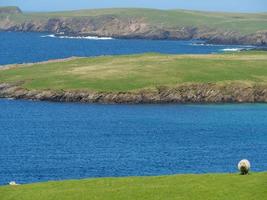 as ilhas shetland na escócia foto