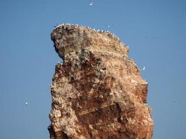 a ilha de helgoland foto