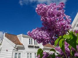 cidade de stavanger na noruega foto