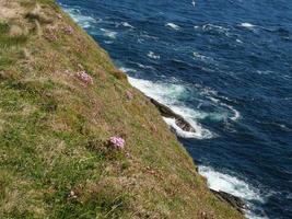 as ilhas shetland na escócia foto