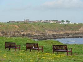 jardim e litoral perto de newcastle na inglaterra foto