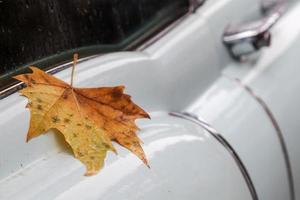 folha de bordo em um carro clássico molhado