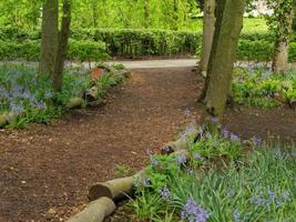 jardim e litoral perto de newcastle na inglaterra foto