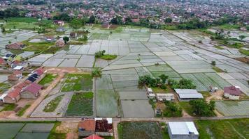 incrível paisagem de campos de arroz foto