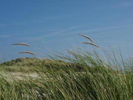 a ilha de helgoland foto