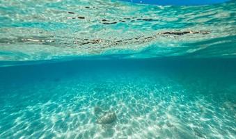 palmeira da ilha tropical e debaixo d'água foto