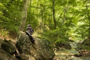 uma escultura de uma mulher sentada em uma pedra perto de um rio de montanha que flui através de uma floresta de carvalhos verdes. paisagem. foto