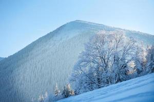 paisagem de montanha no inverno foto