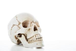 esqueleto de crânio humano para isolamento de educação de anatomia médica em fundo branco com traçado de recorte. foto