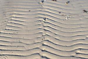 vista detalhada de perto na areia em uma praia no mar Báltico foto