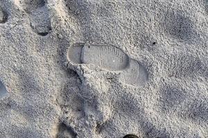 vista detalhada de perto na areia em uma praia no mar Báltico foto