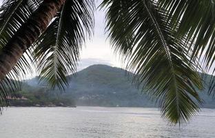 belas palmeiras na praia nas ilhas paradisíacas tropicais seychelles. foto