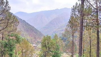 montanhas, árvores e natureza de uttarakhand foto