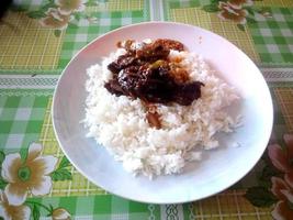 arroz branco misturado com carne é um alimento apetitoso foto