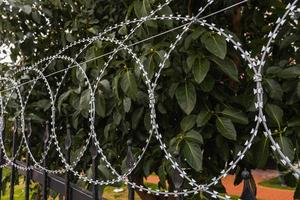 close-up de um espinho enferrujado, arame, arame farpado de custódia, no contexto das plantas, foco suave foto