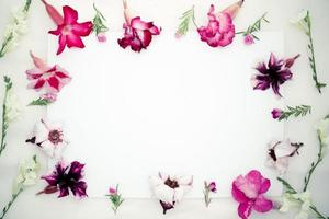 flores de azaleia rosa, flores brancas asystasia gangetica, manjericão verde e folha de papel em branco em uma flor de fronteira rosa background.spring rosa e branco, modelo em branco para o seu texto. vista do topo. foto
