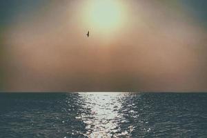 reflexos do sol no mar foto