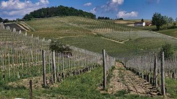 paisagens da langhe piemontesa de barolo e monforte d'alba, durante a primavera de 2022 foto