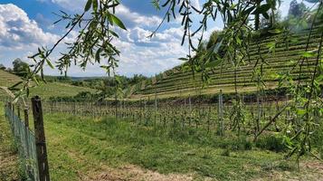 paisagens da langhe piemontesa de barolo e monforte d'alba, durante a primavera de 2022 foto