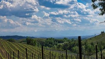 paisagens da langhe piemontesa de barolo e monforte d'alba, durante a primavera de 2022 foto