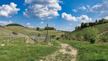 paisagens da langhe piemontesa de barolo e monforte d'alba, durante a primavera de 2022 foto