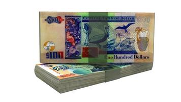 o dólar de belize é a moeda oficial em belize foto