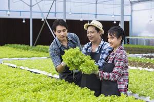 agricultores locais asiáticos cultivando sua própria alface de salada de carvalho verde na estufa usando sistema de água hidropônica em abordagem orgânica para negócios próprios da família foto