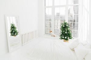 interior de ano novo. espaçoso quarto branco com cama, árvore de natal decorada, espelho e cachorro jack russell terrier no peitoril da janela. animal de estimação espera pelo papai noel foto