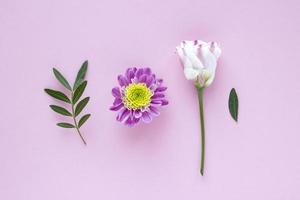 flores rosa-brancas e folhas em fundo rosa pastel. dia dos namorados, dia das mães, aniversário, conceito de primavera. fundo floral minimalista em estilo plano leigo, vista superior foto