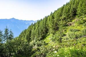 paisagem alpina foto