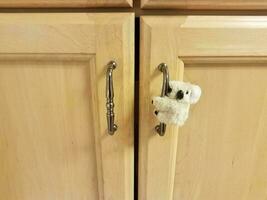 pequeno urso coala na maçaneta da porta do armário foto