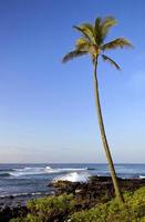 Seascape de Havaí. foto