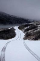 colinas de cipreste no inverno foto