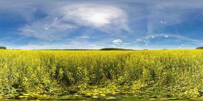 panorama perfeito de 360 graus em projeção equidistante esférica equirretangular na forma da bandeira ucraniana. panorama em um campo de colza em dia ensolarado. plano de fundo para conteúdo vr foto