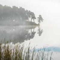 névoa matinal no lago foto