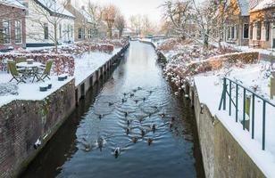canal de vila holandesa no inverno foto